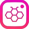 Honista Lite app logo